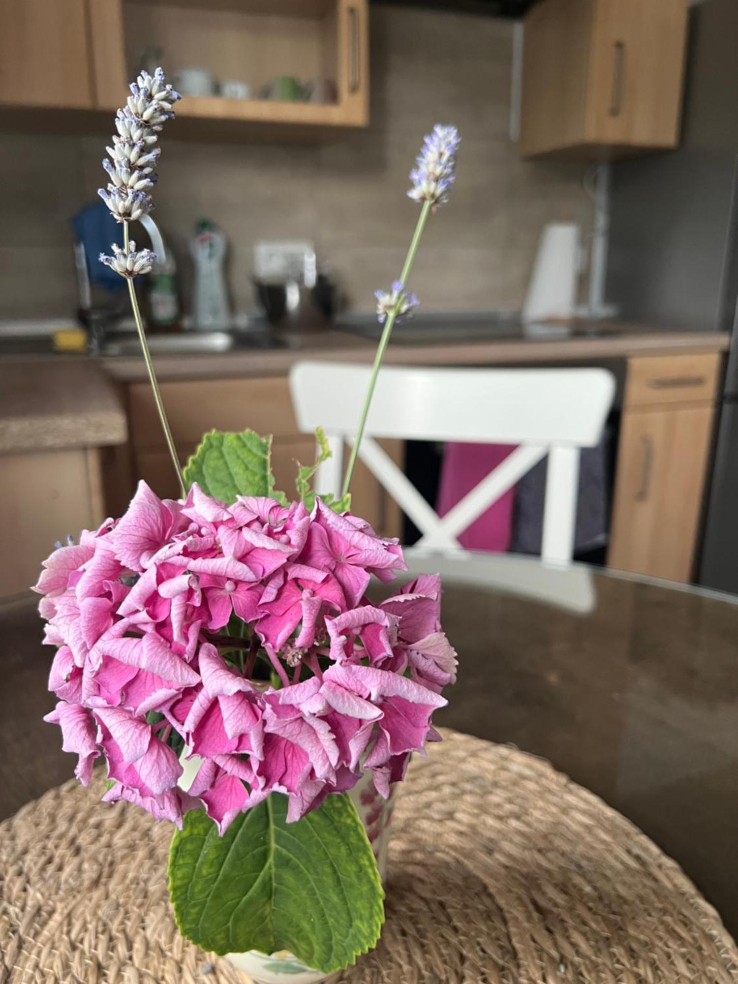 Auszeit Im Pott - Ferienwohnung Lavendel Herten  Dış mekan fotoğraf